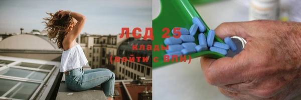 PSILOCYBIN Баксан