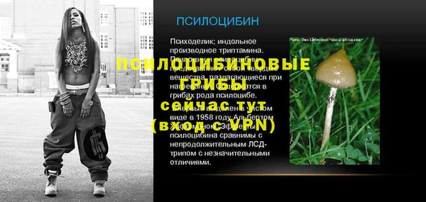 spice Сафоново